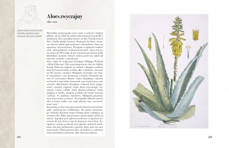 Ilustrowany zielnik Hildegardy z Bingen str 28-29